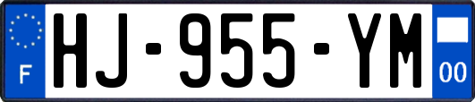 HJ-955-YM