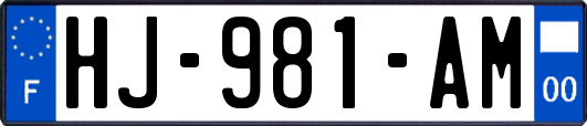 HJ-981-AM