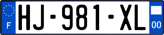 HJ-981-XL