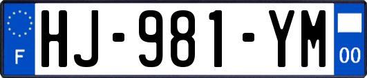 HJ-981-YM