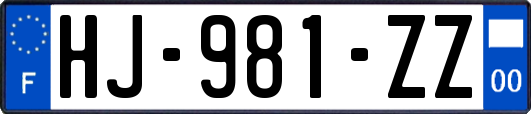 HJ-981-ZZ