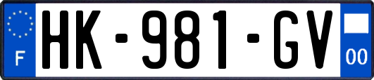 HK-981-GV