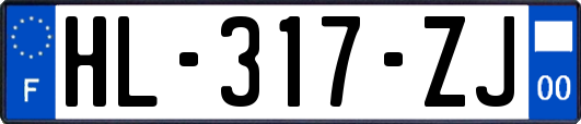HL-317-ZJ