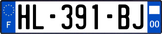 HL-391-BJ