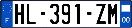 HL-391-ZM