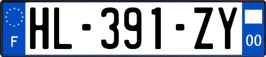 HL-391-ZY