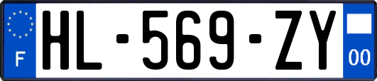 HL-569-ZY