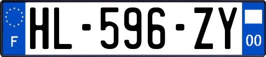 HL-596-ZY