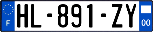 HL-891-ZY