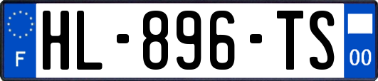 HL-896-TS