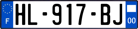 HL-917-BJ