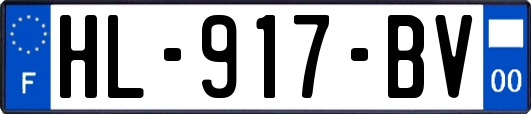 HL-917-BV