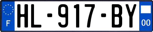 HL-917-BY