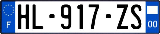 HL-917-ZS