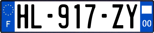 HL-917-ZY