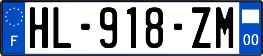HL-918-ZM