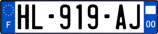 HL-919-AJ