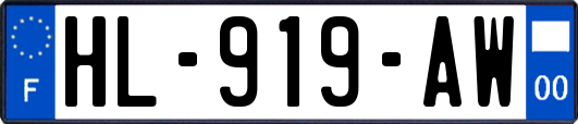 HL-919-AW