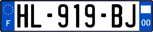 HL-919-BJ