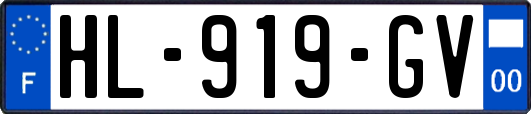 HL-919-GV