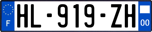 HL-919-ZH