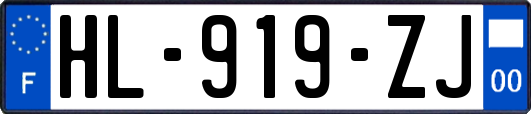 HL-919-ZJ
