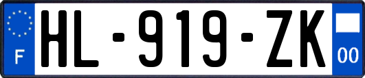 HL-919-ZK