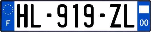 HL-919-ZL