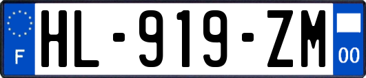 HL-919-ZM