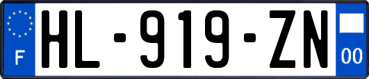 HL-919-ZN