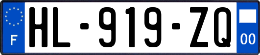 HL-919-ZQ