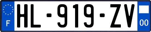 HL-919-ZV