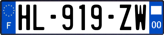 HL-919-ZW