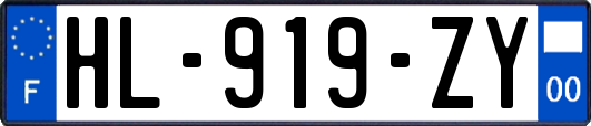HL-919-ZY