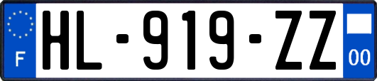 HL-919-ZZ