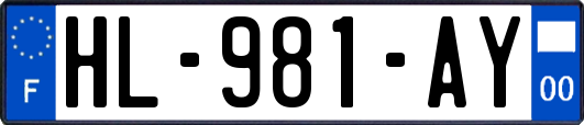 HL-981-AY