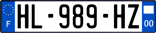 HL-989-HZ