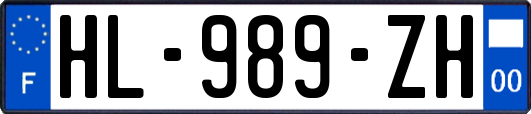 HL-989-ZH