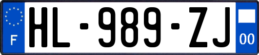 HL-989-ZJ