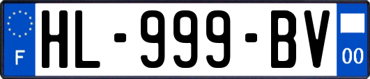 HL-999-BV