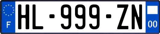 HL-999-ZN