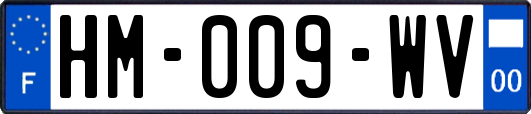 HM-009-WV