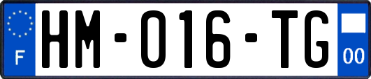 HM-016-TG