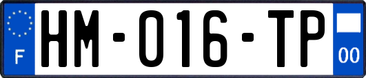 HM-016-TP