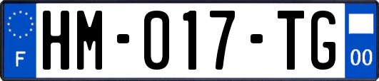 HM-017-TG