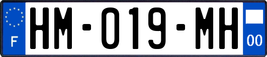 HM-019-MH