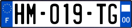 HM-019-TG