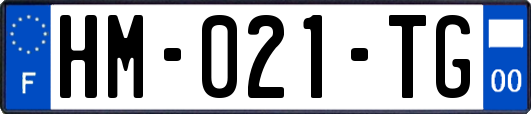 HM-021-TG