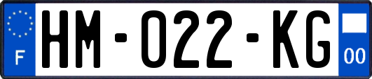 HM-022-KG