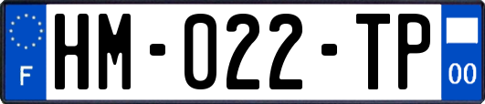 HM-022-TP